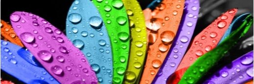 Affines-Inteligencia-Emocional