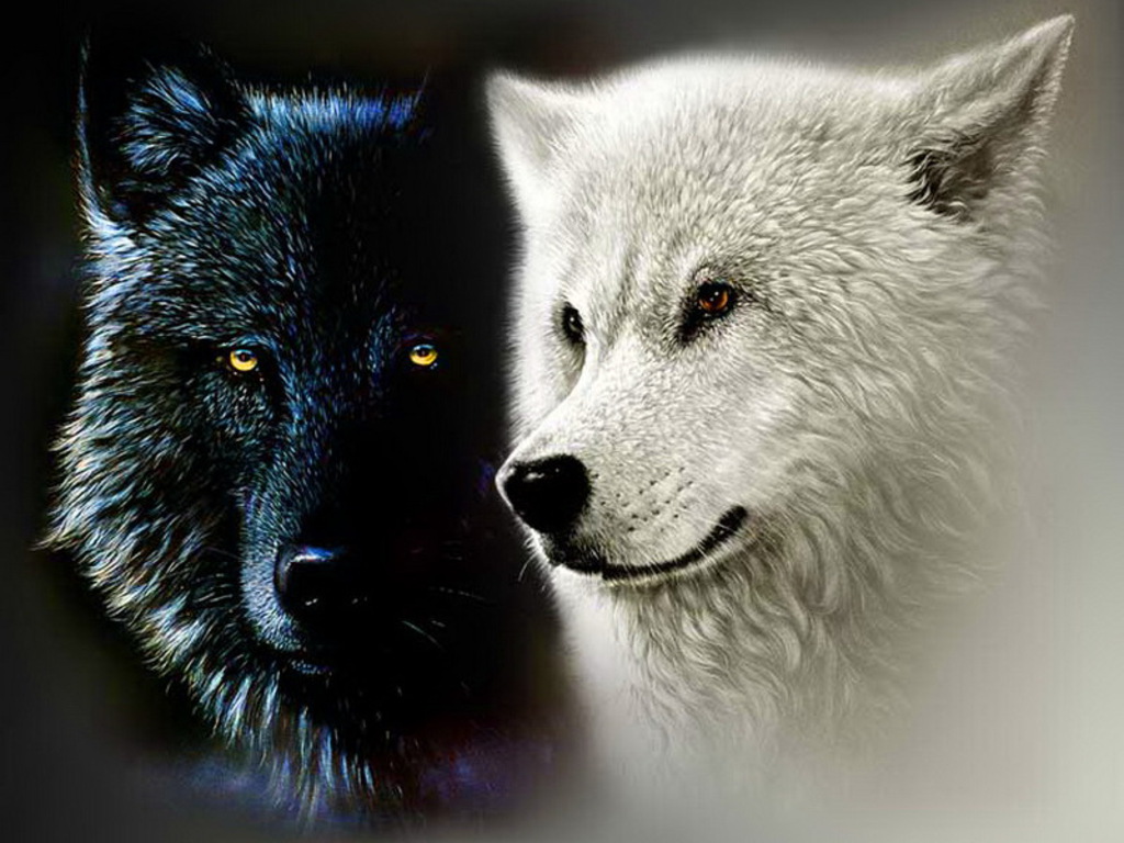 “Los dos lobos “