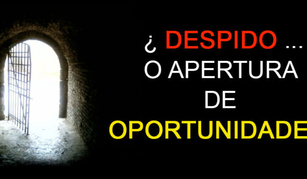 Despido … ¿apertura de oportunidades?